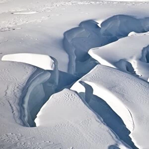 Franz Joseph glacier, New Zealand