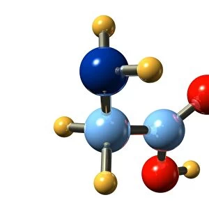 Glycine, molecular model