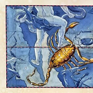 Historical artwork of the constellation Scorpius