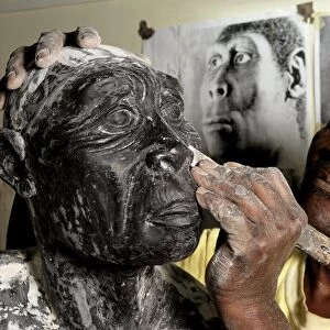 Homo erectus clay model