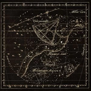 Hydra constellations, 1829 C016 / 4412
