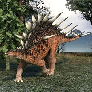 Kentrosaurus dinosaur, artwork