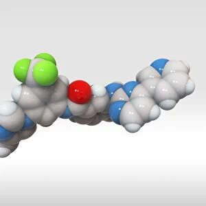 Nilotinib drug, molecular model