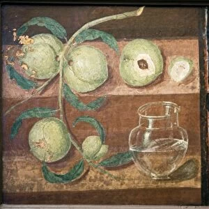 Peaches and a glass jug, Roman fresco