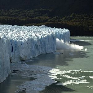 Perito Moreno Glacier, Argentina C014 / 1008