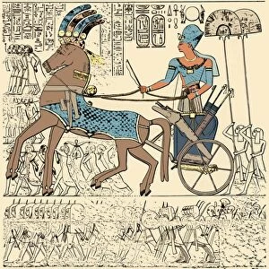 Rameses III