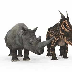Rhino and Einiosaurus dinosaur