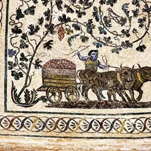 Roman Agriculture