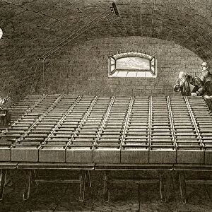 Royal Institution Battery 1807