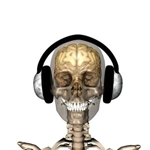 Skelton wearing headphones, artwork