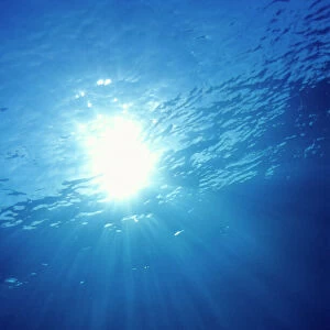 Sunlight underwater