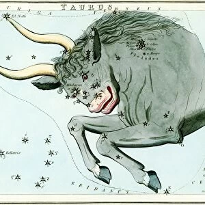 Taurus constellation