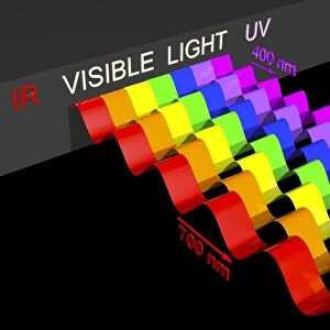 Visible light spectrum, artwork C016 / 9847