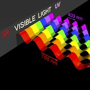 Visible light spectrum, artwork C016 / 9848