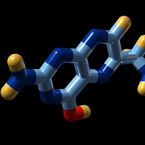 Vitamin B9, molecular model
