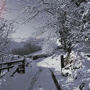 Winter on Exmoor