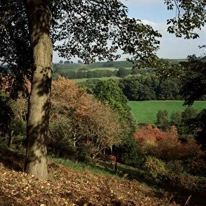 Autumn colours, Winkworth Arboretum, Surrey, England, United Kingdom, Europe