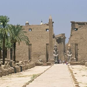 Avenue of sphinxes looking towards statues of Ramses II, Luxor Temple, Luxor