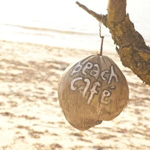 Beach Cafe written on a coconut on Gili Trawangan, Gili Isles Archipelago, Indonesia, Southeast Asia, Asia