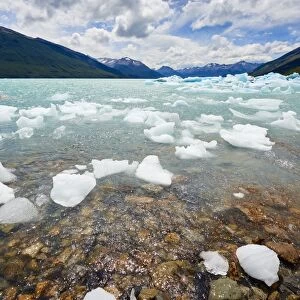 Blocks of ice float in one of the affluents of Lago Argentino, next to Perito Moreno Glacier