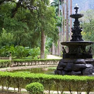 The Botanical Gardens, Rio de Janeiro, Brazil, South America