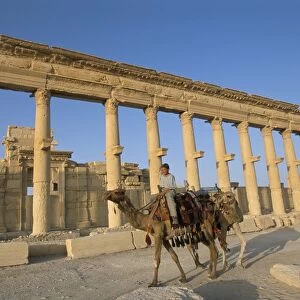 Boy on camel in front of the great colonnade