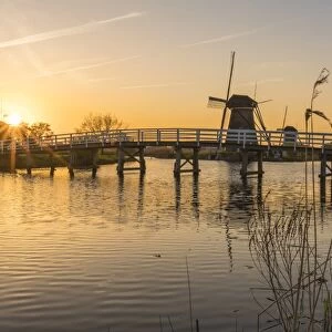 Bridge over the canal with windmills and reeds in the foreground at sunset, Kinderdijk