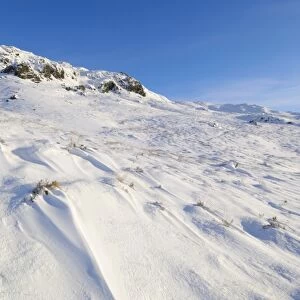 Buchan Hill in winter snow, Galloway Hills, Dumfries and Galloway, Scotland, United Kingdom, Europe