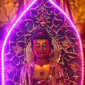 Buddha statue with neon light, Chua Thien Hung Buddhist Pagoda, Ho Chi Minh City, Vietnam