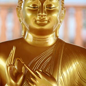 Buddha statue, Tu An Buddhist Temple, Saint-Pierre-en-Faucigny, Haute Savoie, France