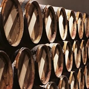 Casks in cellar, Chateau Lynch Bages, Pauillac, Medoc, Cote d Or, Burgundy