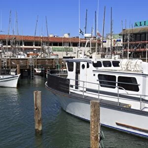 Commercial fishing boats at Fishermans Wharf, San Francisco, California, United States of America, North America
