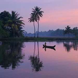 Dawn over the backwaters, near Alappuzha (Alleppey), Kerala, India, Asia