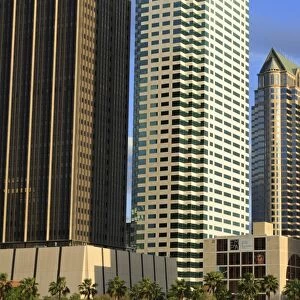 Downtown skyscrapers, Tampa, Florida, United States of America, North America