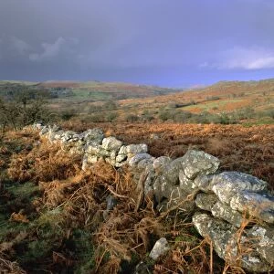 Dry stone wall, autumnal scene near Haytor, Dartmoor National Park, Devon