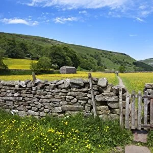 Dry stone wall and gate in meadow at Muker, Swaledale, Yorkshire Dales, Yorkshire, England, United Kingdom, Europe