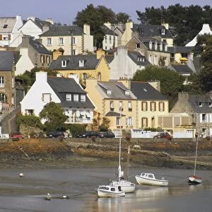 The estuary of the Morlaix River, Dourduff sur Mer, Finistere, Brittany, France, Europe