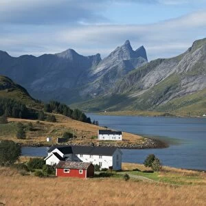 Farmhouses in the country, Lofoten Islands, Nordland, Norway, Scandinavia, Europe