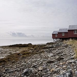 Three fishermens cabins (rorbuer), Lofoton Islands, Norway, Scandinavia, Europe