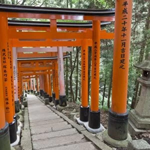 Fushimi Inari Taisha, Shinto shrine, vermilion torii gates line paths in wooded forest
