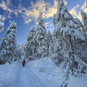 Hiker on snowshoes ventures in snowy woods, Casera Lake, Livrio Valley, Orobie Alps