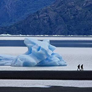 Hikers walking in front of a floating iceberg, Lake Gray, Torres del Paine National Park