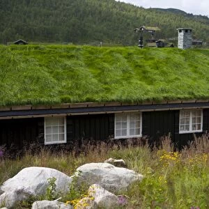 House with green roof, near Tinn, Telemark, Norway, Scandinavia, Europe