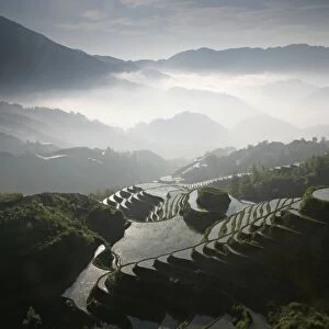 June sunrise, Longsheng terraced ricefields, Guangxi Province, China, Asia