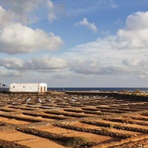 Las Salinas, Museo del Sal, Fuerteventura, Canary Islands, Spain, Atlantic, Europe