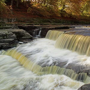 Lower Aysgarth Falls and autumn colours near Hawes, Wensleydale, Yorkshire Dales National Park