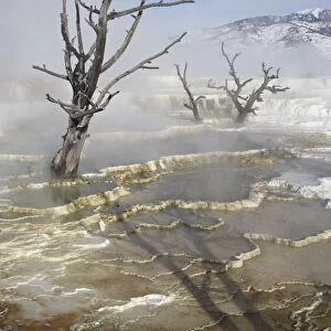 Main Terrace Hot Spring in winter, Yellowstone National Park, UNESCO World Heritage Site