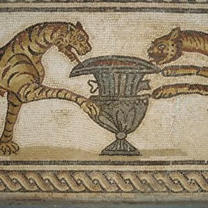 Mosaic in museum, Tolmeita, Libya, North Africa, Africa