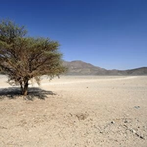 Nubian desert