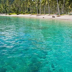 Palm trees and turquoise water, Nippah Beach, Lombok, West Nusa Tenggara, Indonesia, Southeast Asia, Asia